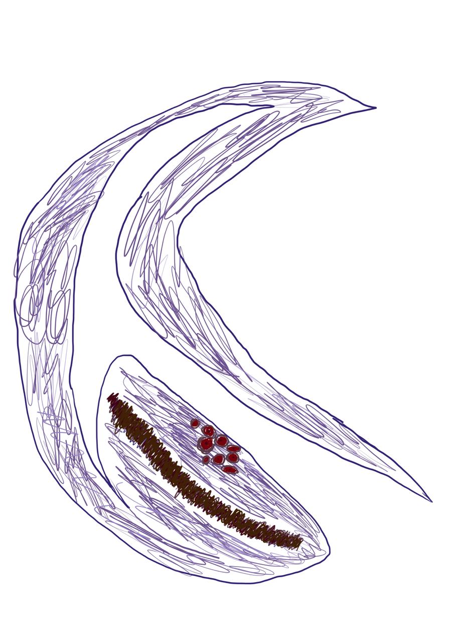 Toodles community illustration